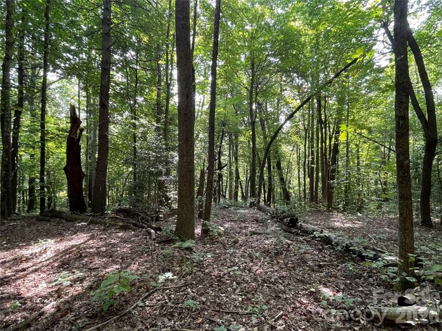 Lot 20 Haverhill Court 20, Flat Rock, NC 28731