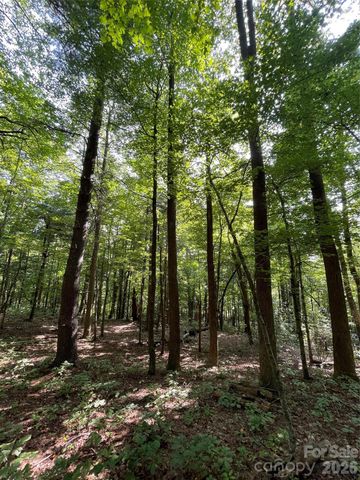Lot 20 Haverhill Court 20, Flat Rock, NC 28731