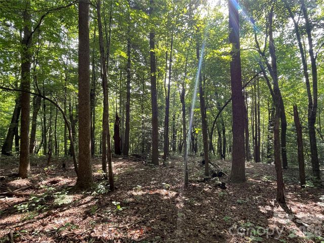 Lot 20 Haverhill Court 20, Flat Rock, NC 28731