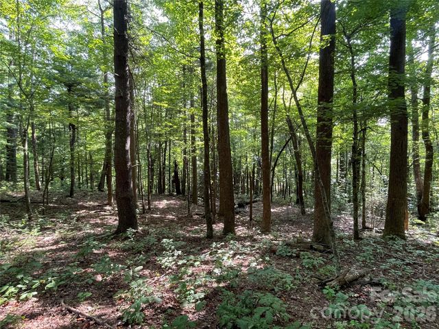 Lot 20 Haverhill Court 20, Flat Rock, NC 28731
