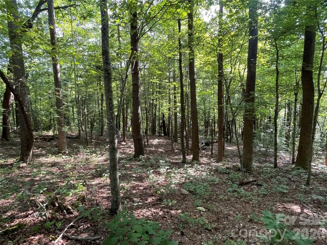 Lot 20 Haverhill Court 20, Flat Rock, NC 28731