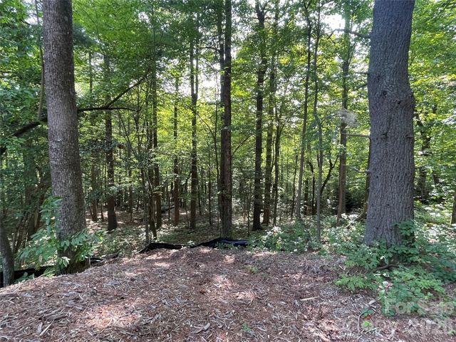 Lot 20 Haverhill Court 20, Flat Rock, NC 28731