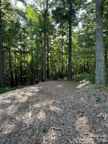 Lot 20 Haverhill Court 20, Flat Rock, NC 28731