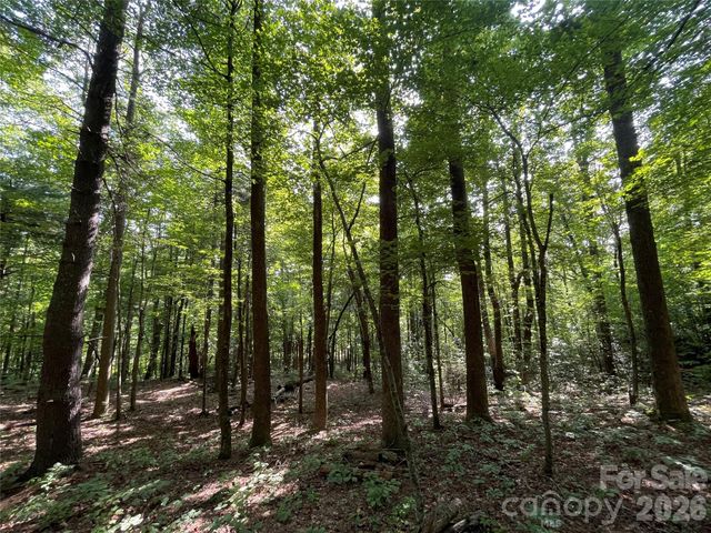 Lot 20 Haverhill Court 20, Flat Rock, NC 28731