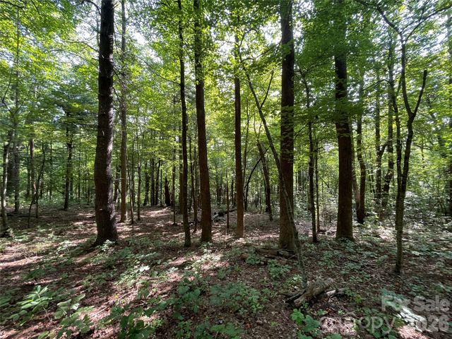 Lot 20 Haverhill Court 20, Flat Rock, NC 28731