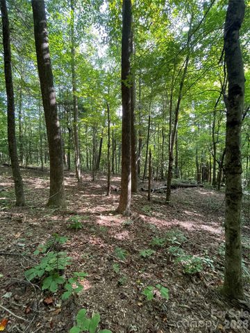 Lot 20 Haverhill Court 20, Flat Rock, NC 28731