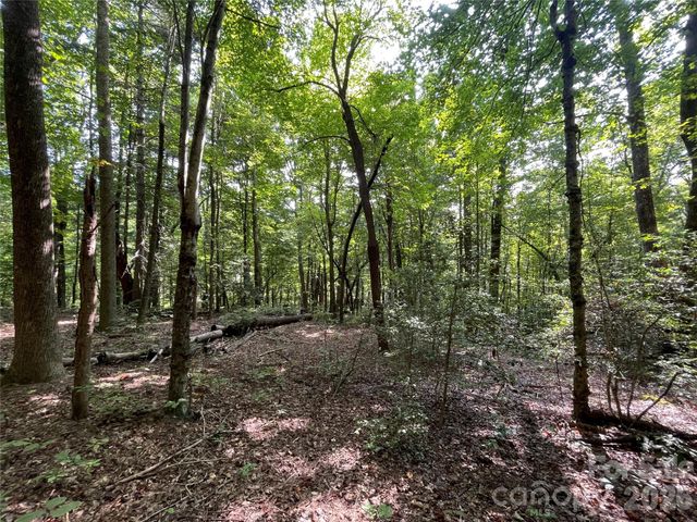 Lot 20 Haverhill Court 20, Flat Rock, NC 28731