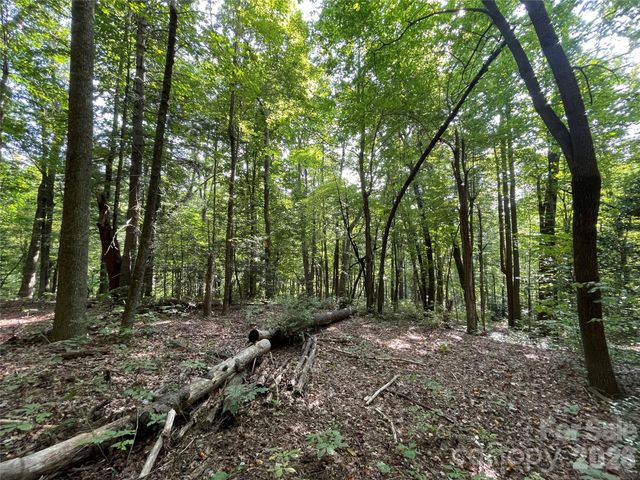 Lot 20 Haverhill Court 20, Flat Rock, NC 28731