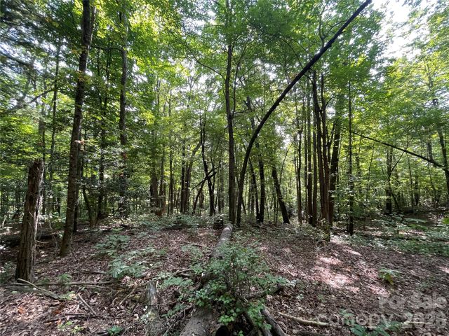 Lot 20 Haverhill Court 20, Flat Rock, NC 28731