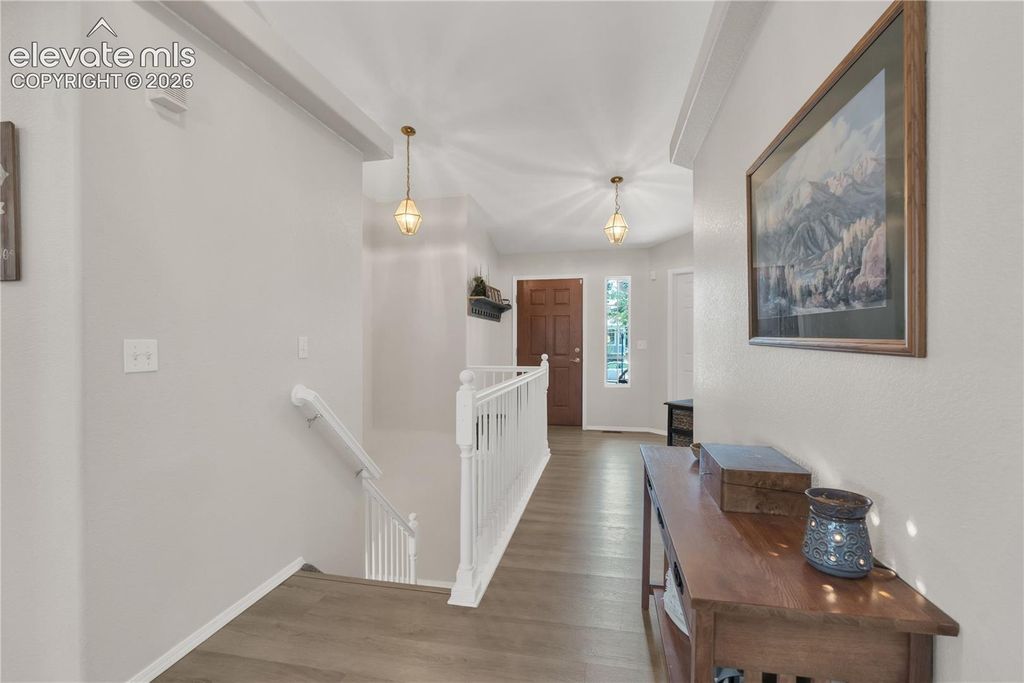 6769 Showhorse Court, Colorado Springs, CO 80922 — photo 3