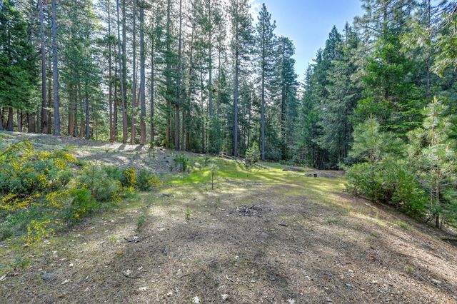 2025 King of the Mountain Ct, Pollock Pines, CA 95726