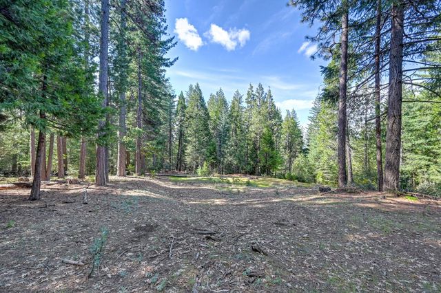 2025 King of the Mountain Ct, Pollock Pines, CA 95726