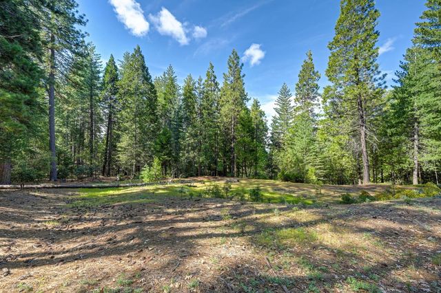 2025 King of the Mountain Ct, Pollock Pines, CA 95726
