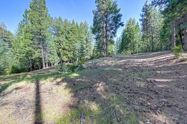 2025 King of the Mountain Ct, Pollock Pines, CA 95726