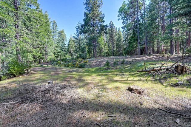 2025 King of the Mountain Ct, Pollock Pines, CA 95726