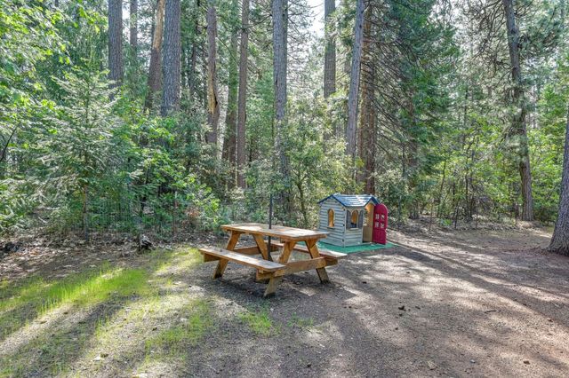 2025 King of the Mountain Ct, Pollock Pines, CA 95726