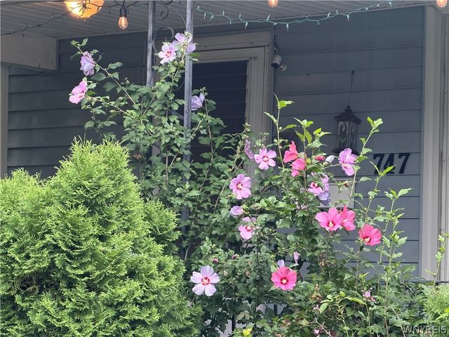 747 15th Street, Niagara Falls, NY 14301