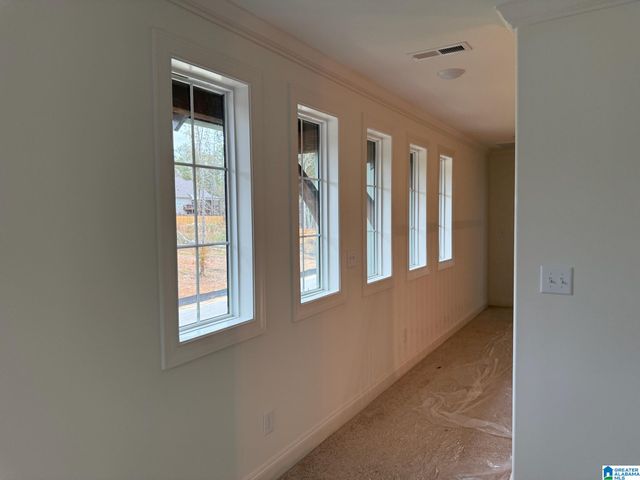 3390 RIVER BIRCH TRAIL, Chelsea, AL 35043
