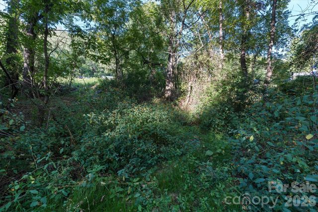 TBD Crymes Cove Road 8-A, Waynesville, NC 28786