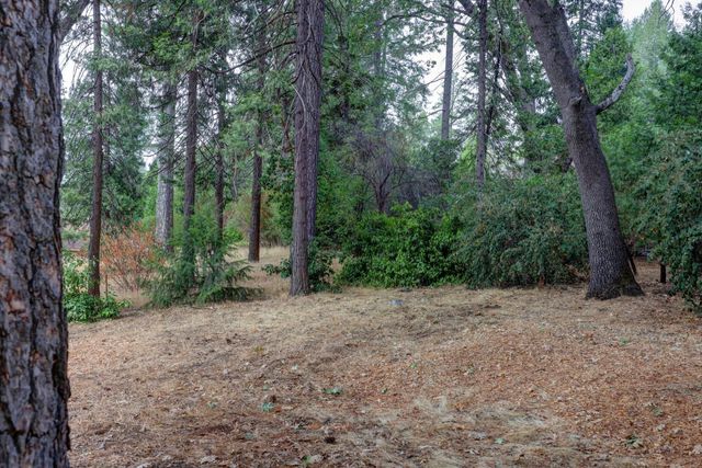 3092 Carson Rd, Placerville, CA 95667