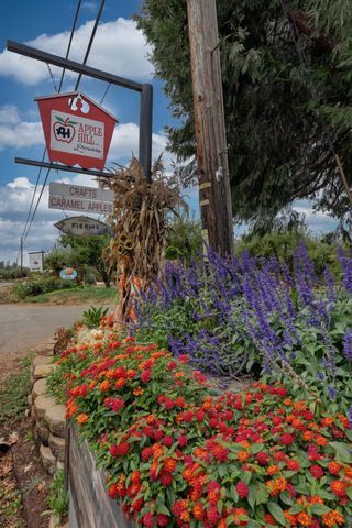 3092 Carson Rd, Placerville, CA 95667