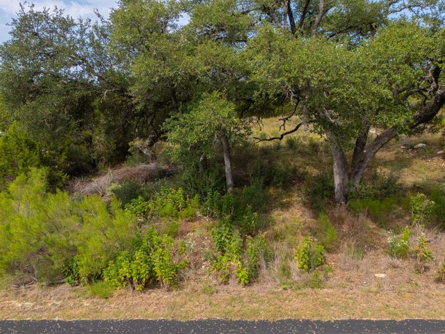 115 Upper River Pl PL, Spring Branch, TX 78070