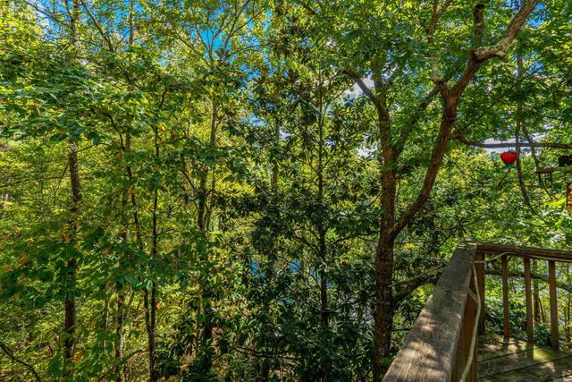 4 Quisto Circle, Hot Springs Village, AR 71909