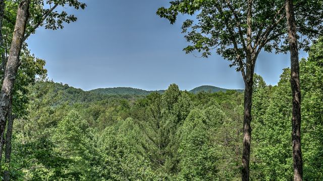 155 Shayla Drive, Blue Ridge, GA 30513