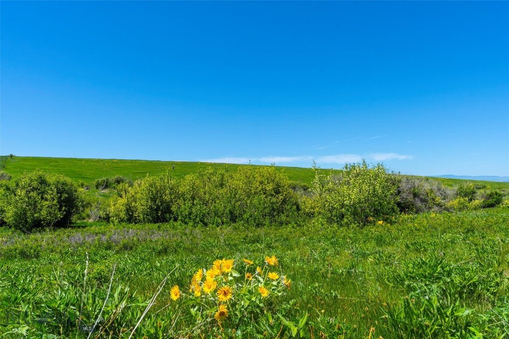 1856 Star Ridge Road, Bozeman, MT 59715 photo 31