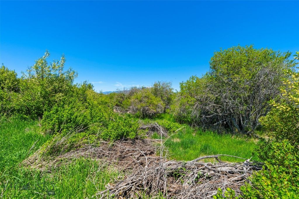 1856 Star Ridge Road, Bozeman, MT 59715 photo 32