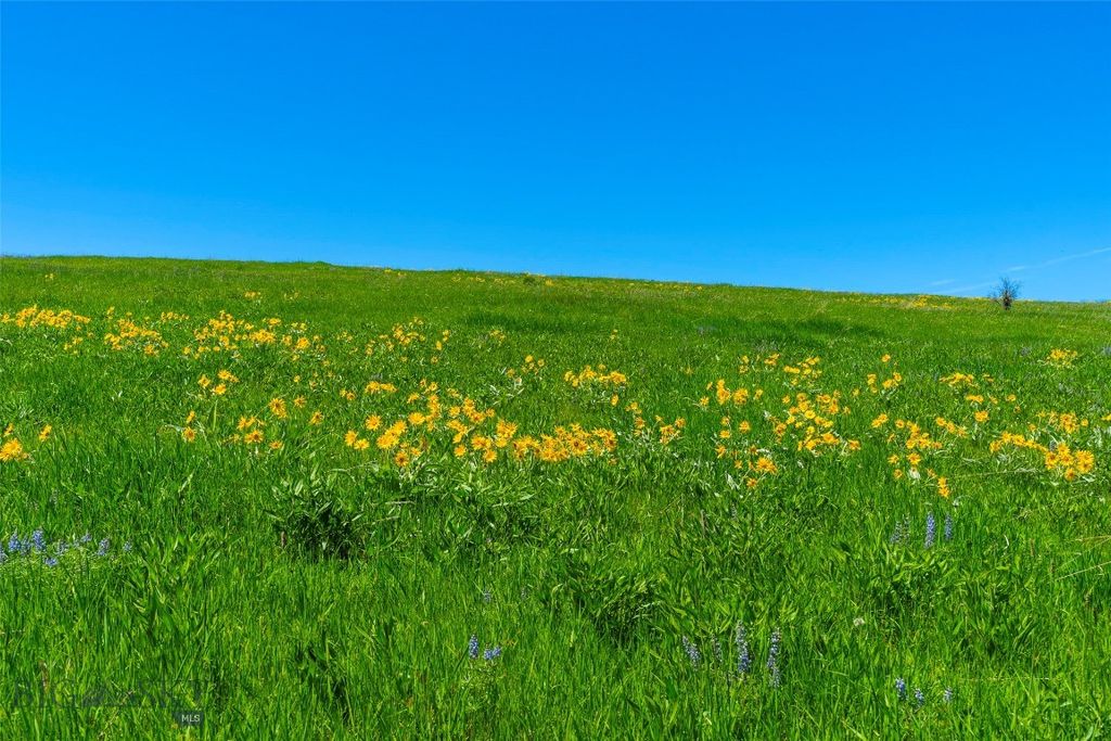 1856 Star Ridge Road, Bozeman, MT 59715 photo 35