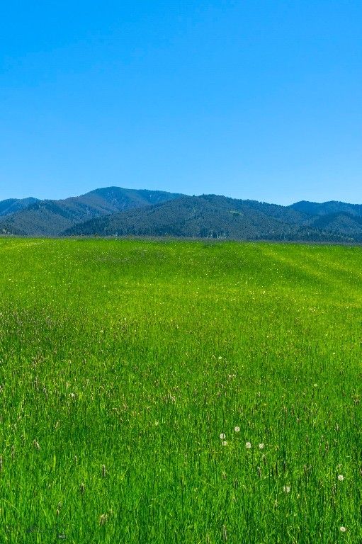 1856 Star Ridge Road, Bozeman, MT 59715 photo 39