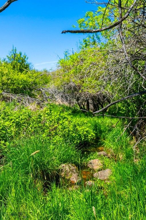 1856 Star Ridge Road, Bozeman, MT 59715 photo 62