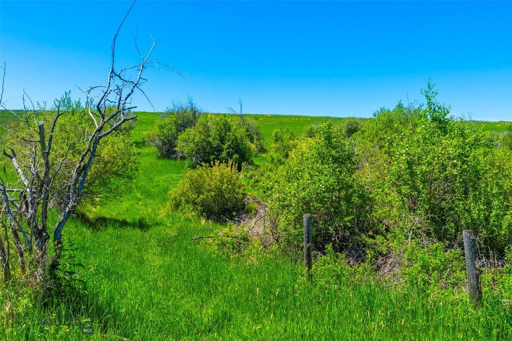 1856 Star Ridge Road, Bozeman, MT 59715 photo 63