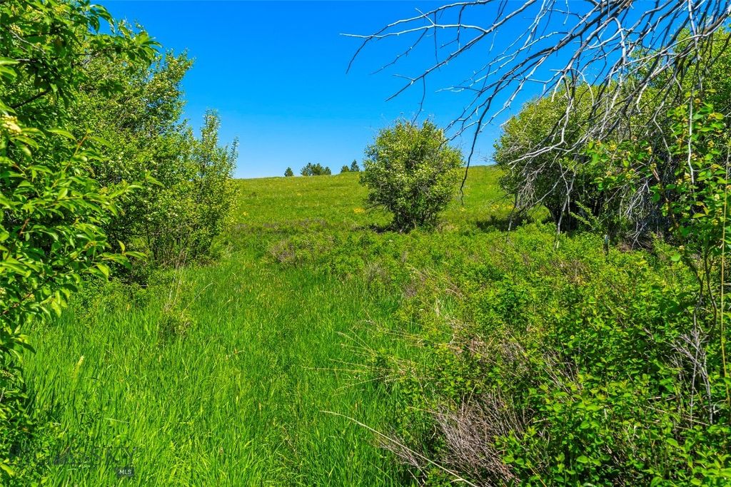 1856 Star Ridge Road, Bozeman, MT 59715 photo 64