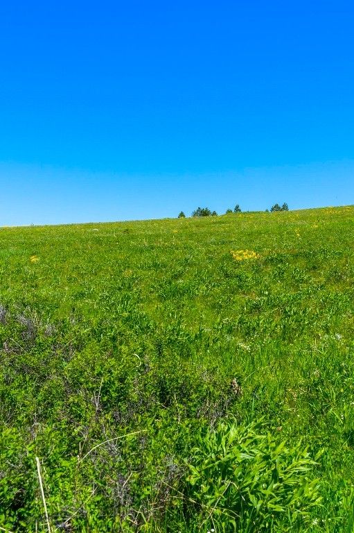 1856 Star Ridge Road, Bozeman, MT 59715 photo 65