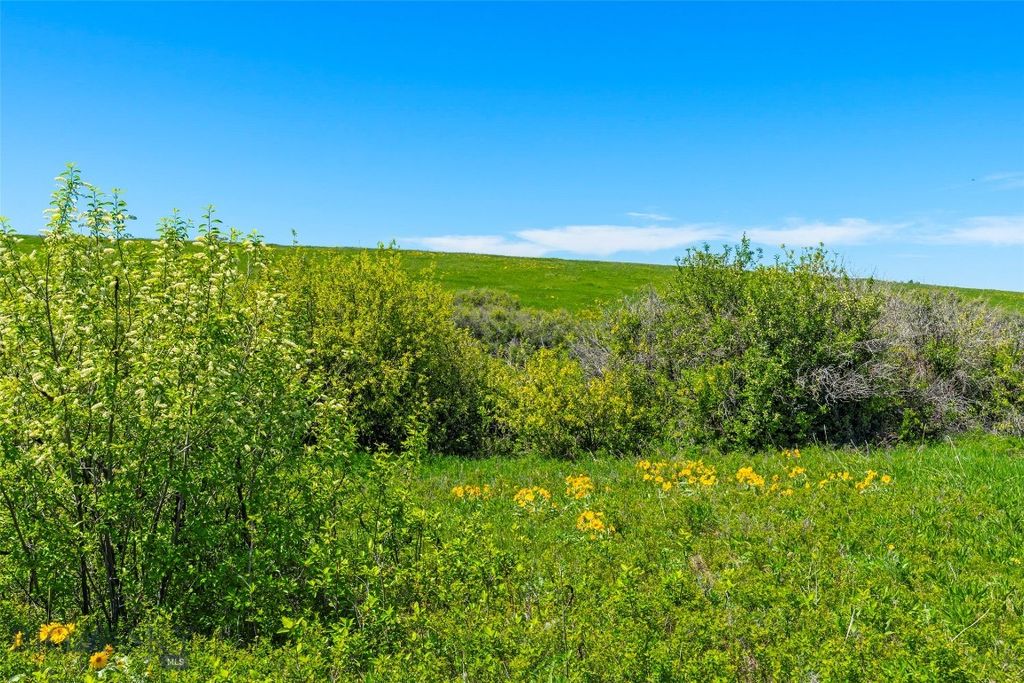 1856 Star Ridge Road, Bozeman, MT 59715 photo 66