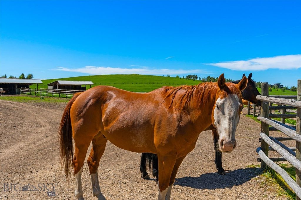 1856 Star Ridge Road, Bozeman, MT 59715 photo 71