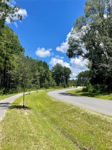 TBD NW 150TH BOULEVARD, Newberry, FL 32669