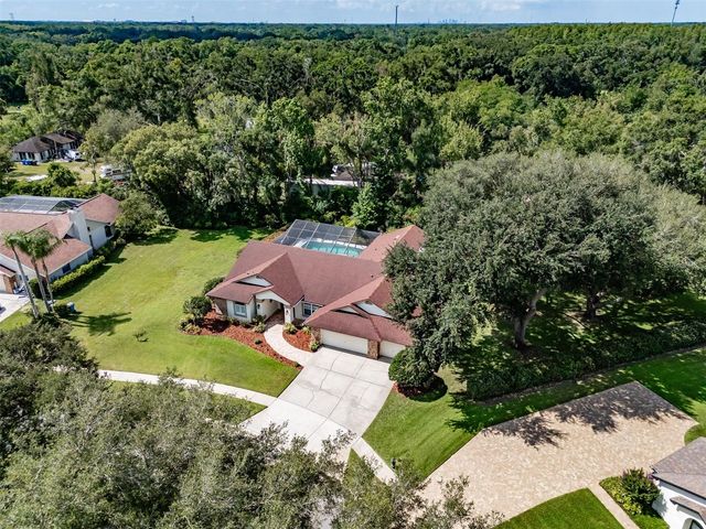 507 SURREY LANE, Lutz, FL 33549