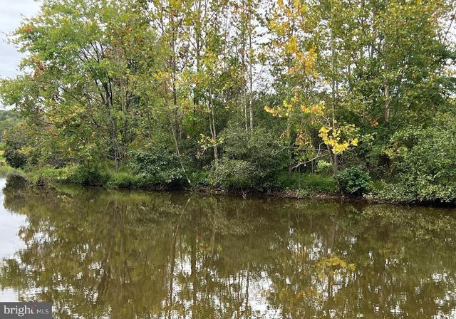 26700 DANIELS POINT DR, Unionville, VA 22567