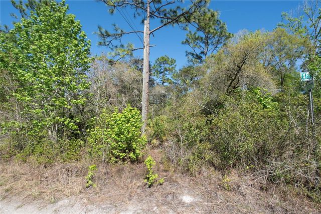 12934 TANNER ROAD, New Port Richey, FL 34654