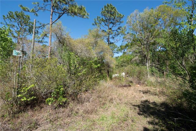 12934 TANNER ROAD, New Port Richey, FL 34654