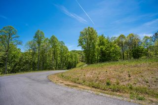 Lot 4-4A Waterstone Way, Mineral Bluff, GA 30559