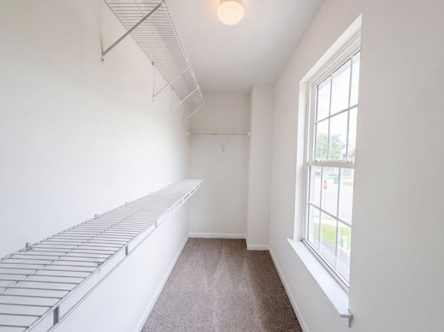 1614 Harrison Way, Spring Hill, TN 37174