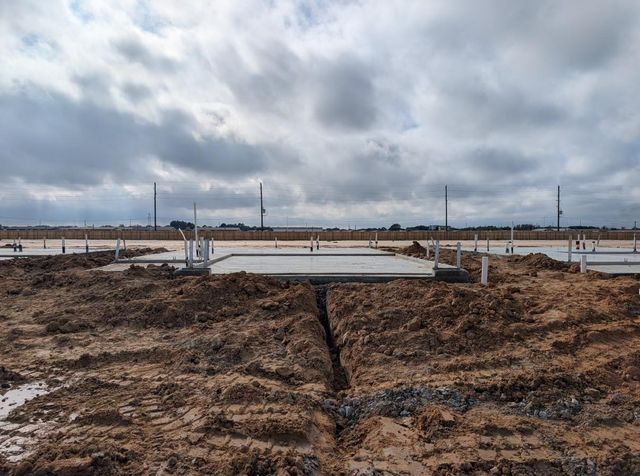 26247 Venus Trap Trail, Katy, TX 77493