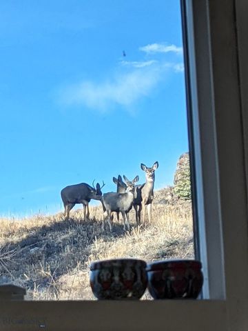 631 S Clark Street, Butte, MT 59701