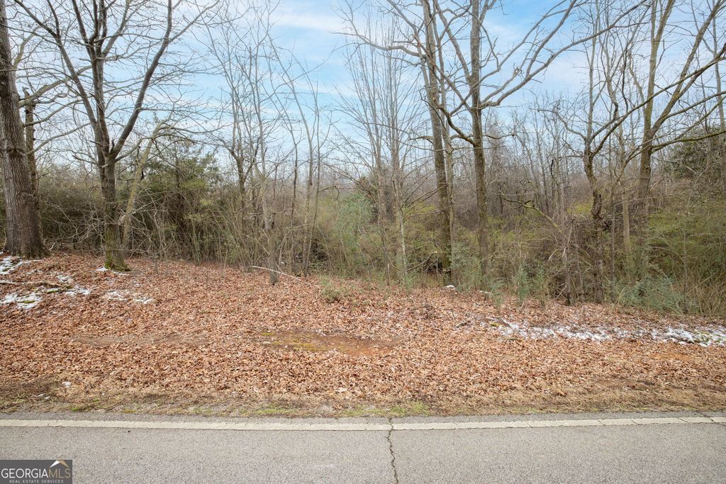 740 Broad River Church Road TRACT C, Eastanollee, GA 30538 — photo 2
