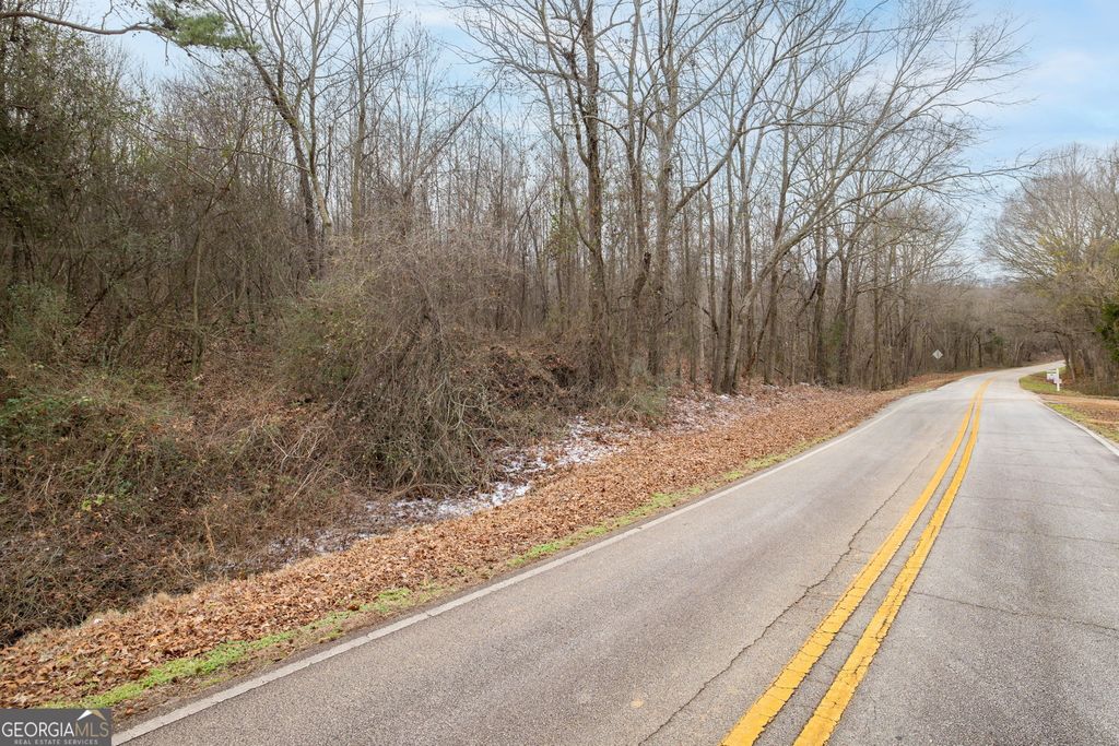 740 Broad River Church Road TRACT C, Eastanollee, GA 30538 — photo 3