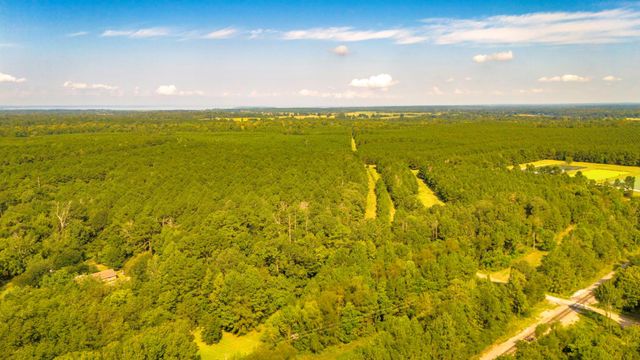 00 Garner Road, Goodrich, TX 77335